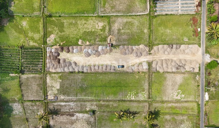 Near JEC Jogja - Strategic Plot, Easy Access to the City Center.