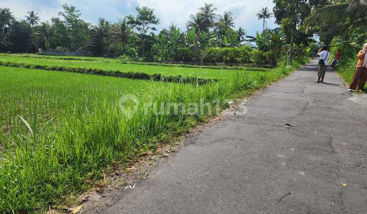 Dekat Kampus UII Kavling Ideal untuk Kos atau Hunian Di Jogja