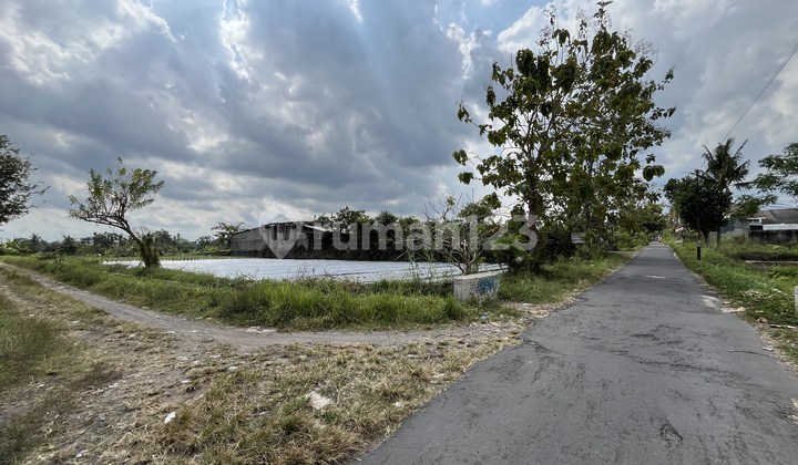 Near UII Campus, Strategic Plot in Kaliurang.