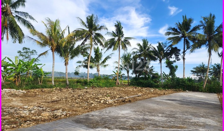 Dekat Bandara YIA Kavling Strategis Siap Bangun Kulon Progo