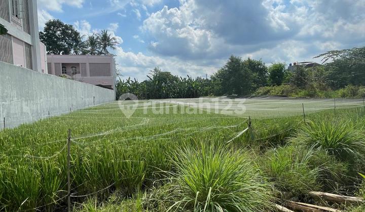 2 Minutes to UAD Campus 3, Selling Plots Inside Ring Road Ready to Build 2 Minutes to UAD Campus 3, Selling Plots Inside Ring Road Ready to Build