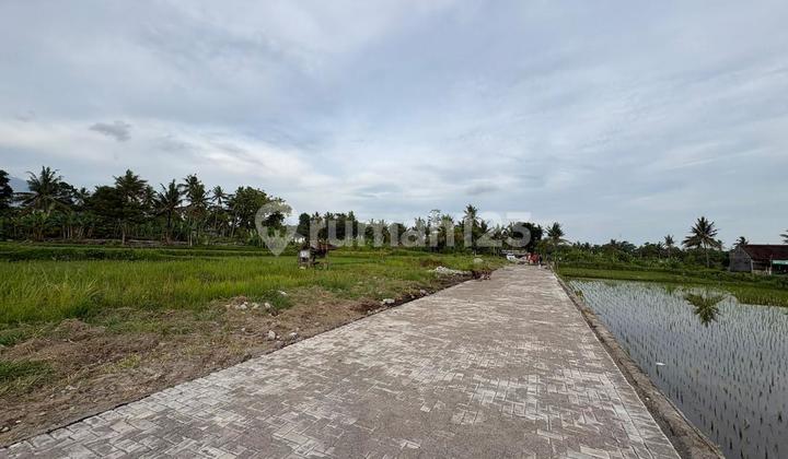 Dekat Kampus Uii Kavling Premium Lingkungan Asri di Pandanaran