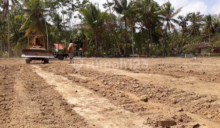 Land for Sale in Sleman, Moyudan Location, Land Near Pendulan Market.