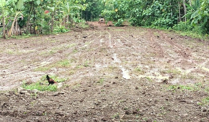 dekat Puncak Becici; Kawasan Asri; SIap Bangun dekat Puncak Becici; Kawasan Asri; SIap Bangun