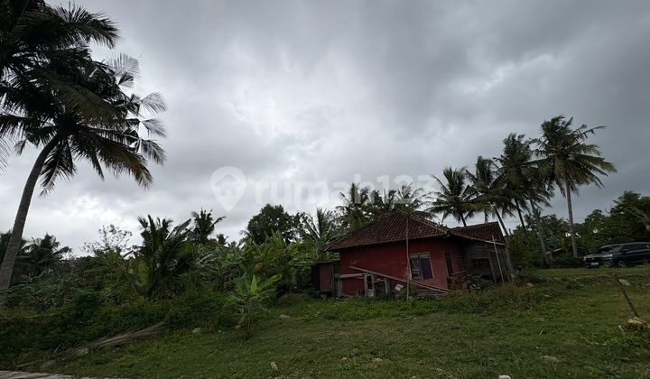 Tawangsari; Kawasan Strategis; 3 Unit Tersisa