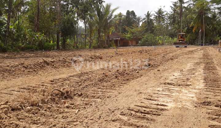near Gamelan Studio; Land Ready to Build; SHM P near Gamelan Studio; Land Ready to Build; SHM P