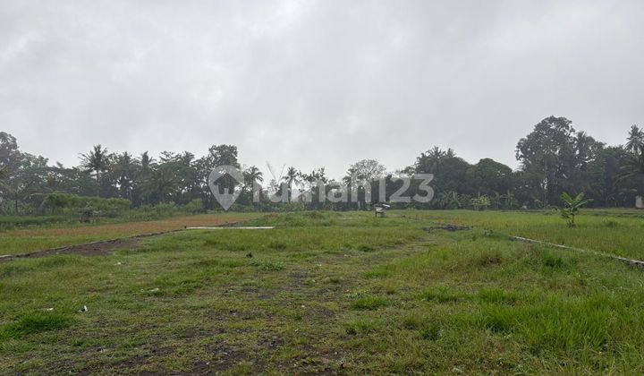 Near PonPes Pandanaran; Ready-to-Build Plots; SHM (Certificate of Property Rights)