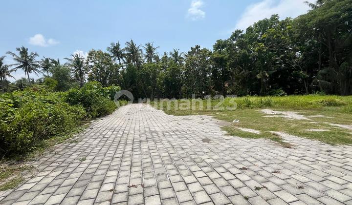 Siap AJB; Murah Dekat Kampus Uad 6; SHM P Siap AJB; Murah Dekat Kampus Uad 6; SHM P