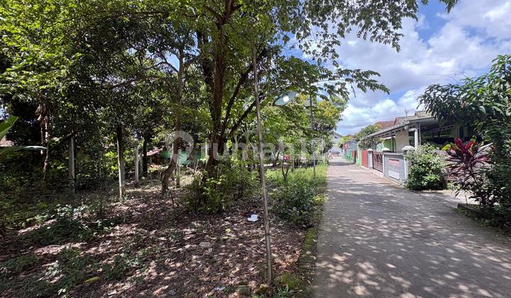 Can Resize; Dangerous Near River; SHM Can Resize; Dangerous Near River; SHM