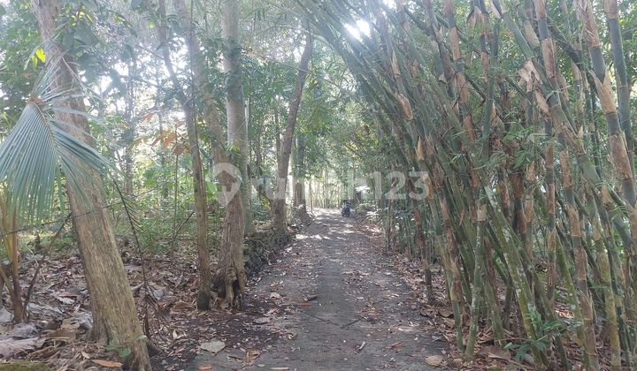 Bangunjiwo, Tanah Kasihan Bantul, Dekat Pasar Gamping