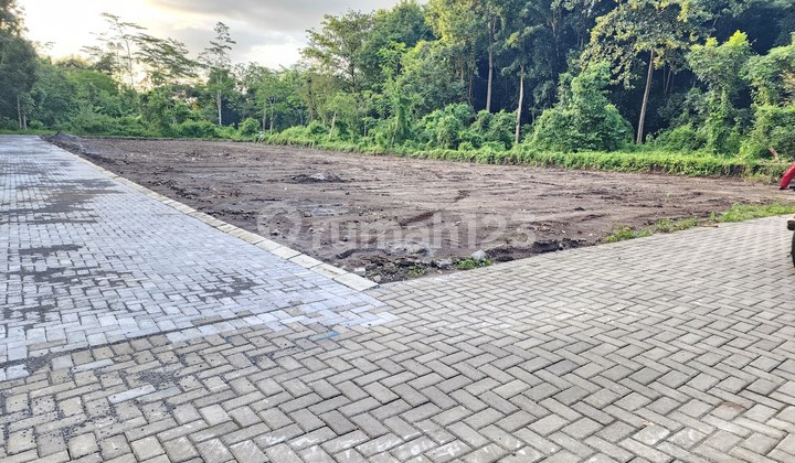 Sardonoharjo, Tanah Sleman Jogja, dekat UII Sardonoharjo, Tanah Sleman Jogja, dekat UII