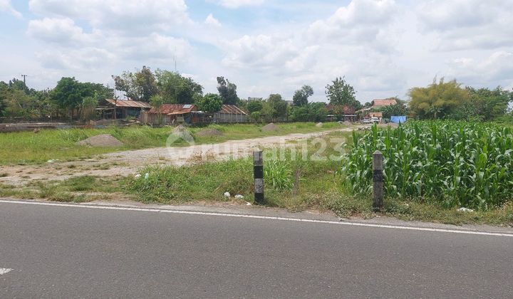 Sidokarto Godean, land for sale in Sleman, near Aisyiyah University Yogyakarta. Sidokarto Godean, land for sale in Sleman, near Aisyiyah University Yogyakarta.