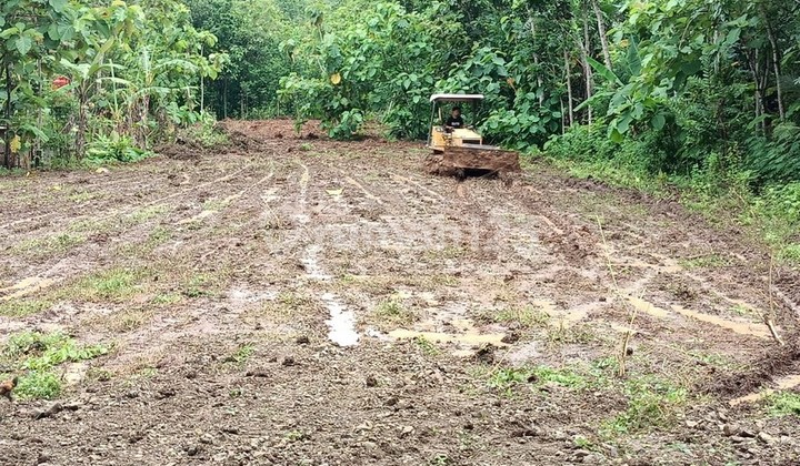 Wukirsari Imogiri, Tanah Bantul, dekat Puncak Pinus Becici Wukirsari Imogiri, Tanah Bantul, dekat Puncak Pinus Becici
