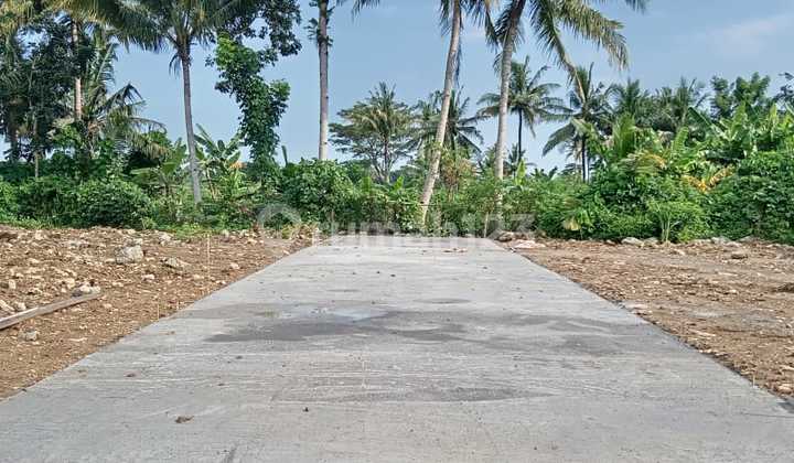 Tawangsari Pengasih, Tanah Kulon Progo, dekat UAD Kampus 6