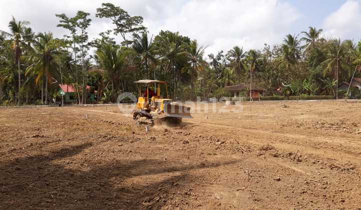 Moyudan, Tanah Sleman Jogja, dekat SD Moyudan 1 Moyudan, Tanah Sleman Jogja, dekat SD Moyudan 1