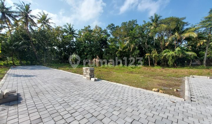 Tawangsari Pengasih, Tanah Kulon Progo, dekat Lapangan Tawangsari