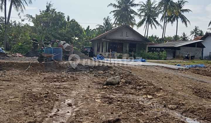 Tawangsari Pengasih, Tanah Kulon Progo, dekat SMPN 1 Pengasih Tawangsari Pengasih, Tanah Kulon Progo, dekat SMPN 1 Pengasih