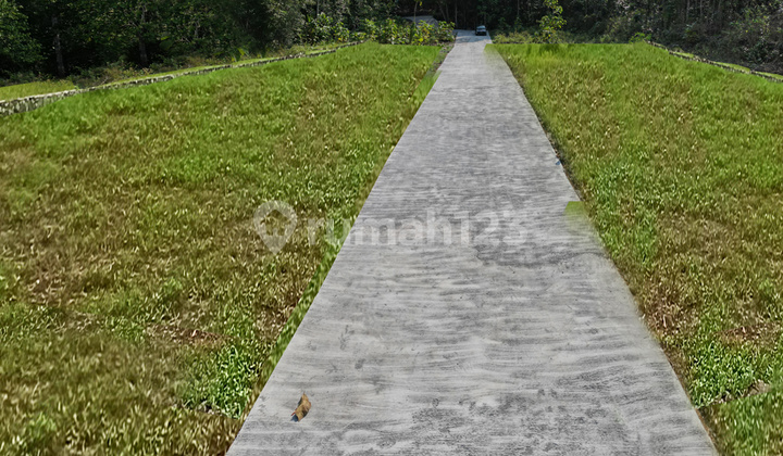 Tanah Dijual Panjatan Kulonprogo Jogja, Panjatan Kulonprogo, 10 Menit Alun Alun Wates