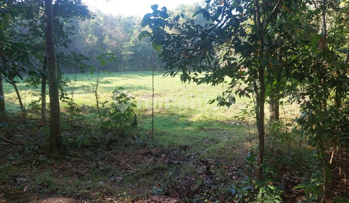 Bangunjiwo, Kasihan Land, Bantul, near PKU Muhammadiyah Gamping Hospital. Bangunjiwo, Kasihan Land, Bantul, near PKU Muhammadiyah Gamping Hospital.