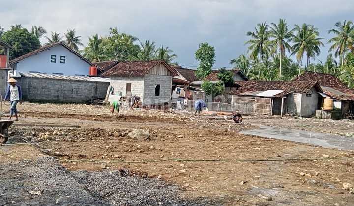 Tawangsari Pengasih, Tanah Kulon Progo, dekat Alun-Alun Wates