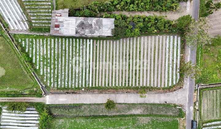 Tanah Jogja Utara - 1 Km ke TK Al-Azhar Jogja