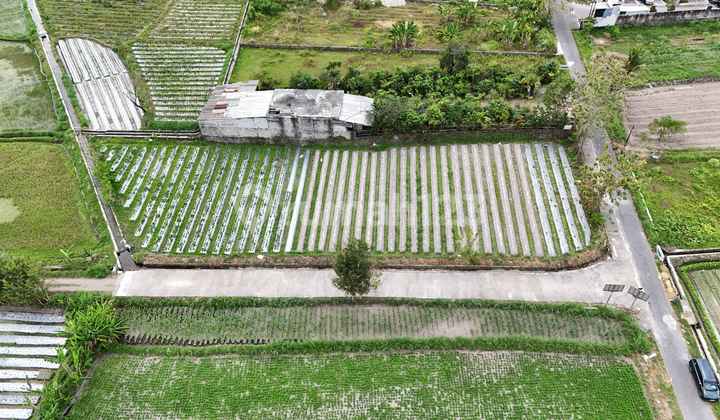 Cocok Bangun Villa/Kostan View Sawah - Tanah Area Kaliurang Km. 12 Jogja Cocok Bangun Villa/Kostan View Sawah - Tanah Area Kaliurang Km. 12 Jogja