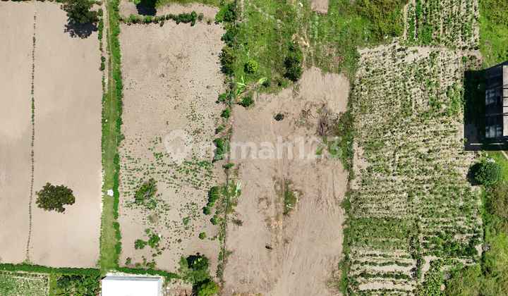 Tanah Dekat Kampus UII Jogja - Cocok Bangun Kost"an Exclusive Tanah Dekat Kampus UII Jogja - Cocok Bangun Kost"an Exclusive