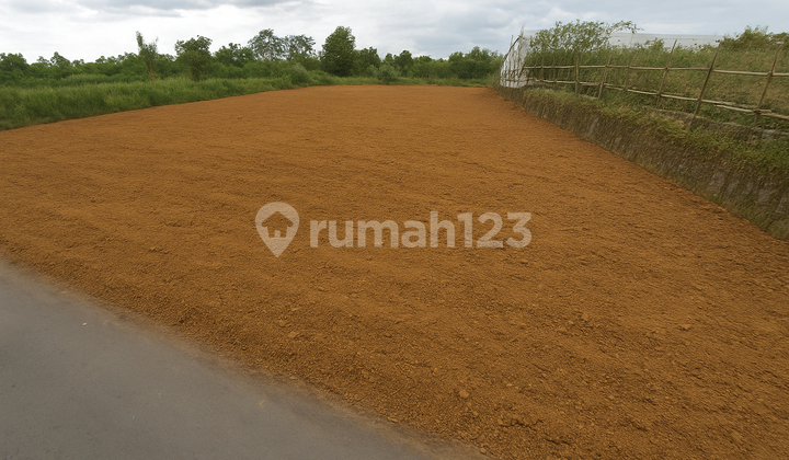 Cocok Bangun Villa/Kostan View Sawah - Tanah Area Kaliurang Km. 12 Jogja Cocok Bangun Villa/Kostan View Sawah - Tanah Area Kaliurang Km. 12 Jogja