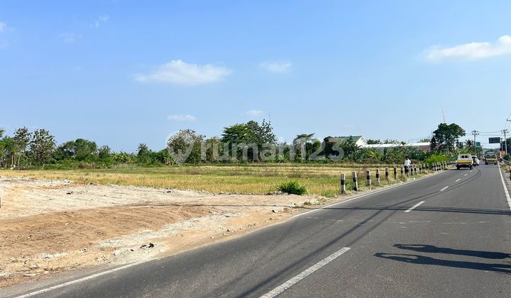 Near UMY Campus, Land for Sale Suitable for Housing