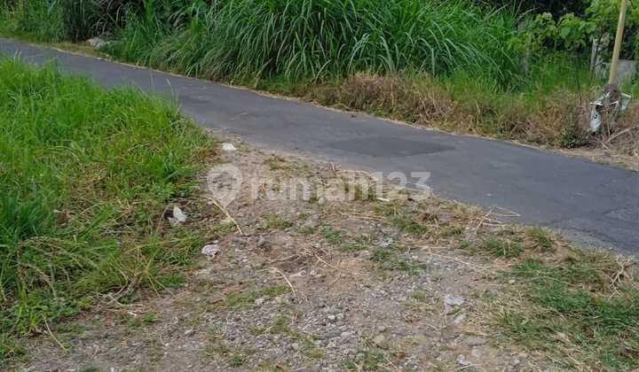 7 Minutes to Pakem Market, Cheap Land for Sale in Jogja, Suitable for Living