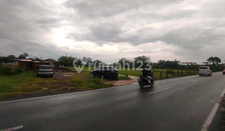 15 Minutes to Unisa, Ideal for Building a House, Shmp