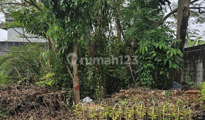 Dijual Cepat Kavling Kotak 250 M² Penyelesaian Tomang, Hadap Barat