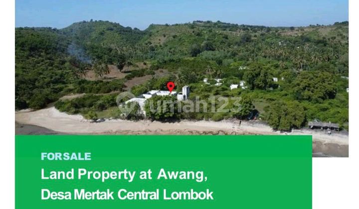 Land 4.9 Ha in Lombok, NTB