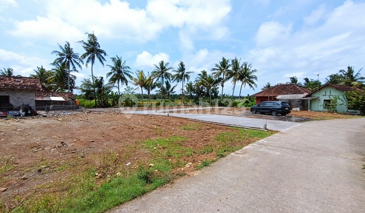 Jual Kavling MURAH Jogja, 1 JUTAAN, Dekat Kampus Mercu Buana Wates Jual Kavling MURAH Jogja, 1 JUTAAN, Dekat Kampus Mercu Buana Wates