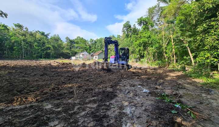 Cari Tanah Jogja, 2 JUTA-AN, Dekat Polsek Kasihan Cari Tanah Jogja, 2 JUTA-AN, Dekat Polsek Kasihan