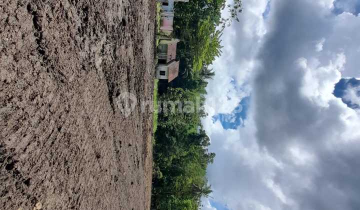 Affordable Land Plots for Sale in Jogja, Starting from 2 MILLION, Near Jogja City Center