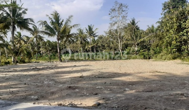 ijual Tanah 1 JUTAAN, Sentolo, Dekat Bandara YIA, Jogja Barat ijual Tanah 1 JUTAAN, Sentolo, Dekat Bandara YIA, Jogja Barat