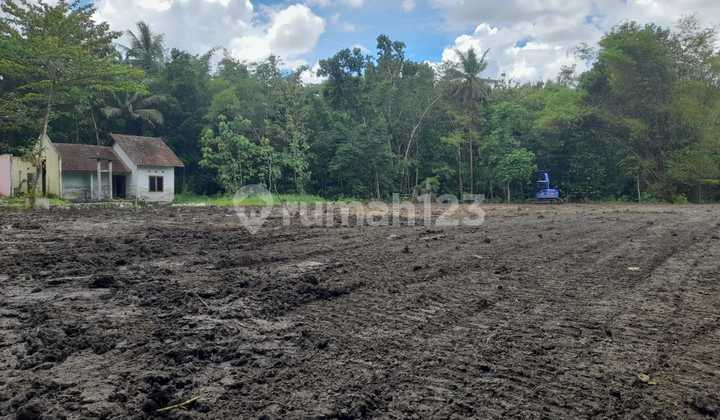 Jual Tanah Jogja, 2 JUTA-AN, Dekat RS.PKU Muhammadiyah Jual Tanah Jogja, 2 JUTA-AN, Dekat RS.PKU Muhammadiyah