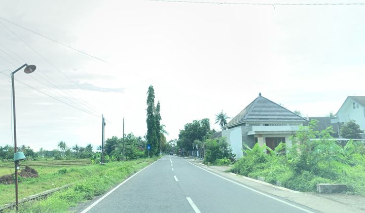 Sell Cheap Plots in Jogja, 1 MILLION RANGE, Moyudan, Near West Ringroad Sell Cheap Plots in Jogja, 1 MILLION RANGE, Moyudan, Near West Ringroad