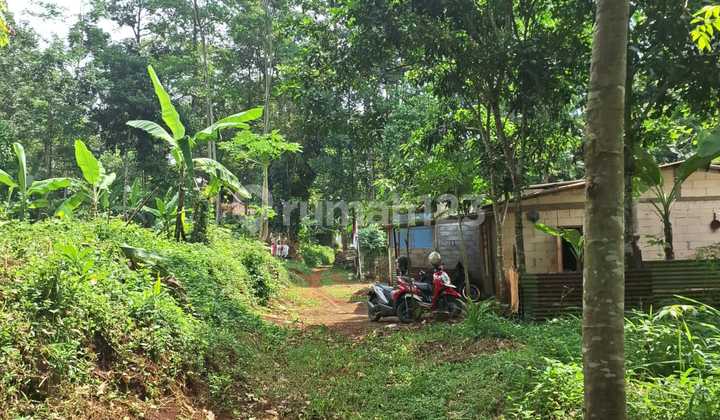 Tanah Sangat Murah Zona Perumahan Dekat Klinik Sccr Dan Unwahas