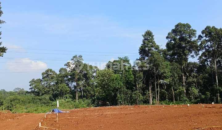 Tanah Gratis Pajak Siap Bangun Lokasi Ciamik Semarang 2