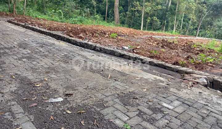 Tanah Dekat Jalan Puntan Raya Siap Bangun Shm Kota Semarang 2