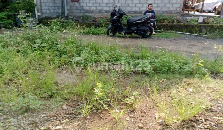 Tanah Murah Dekat Jalanraya Siap Bangun Shm  1