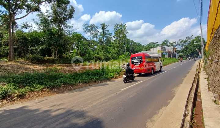 Very Cheap Land in a Complex Area, Ready to Build a Comfortable Residence 2