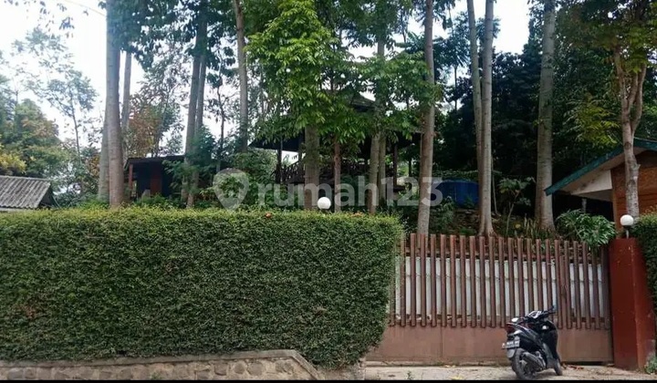 Quick Sale House Large Land in ******** 2