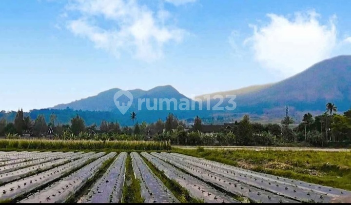 Quick Sale of Land Near Cipanas Garut Tourist Area