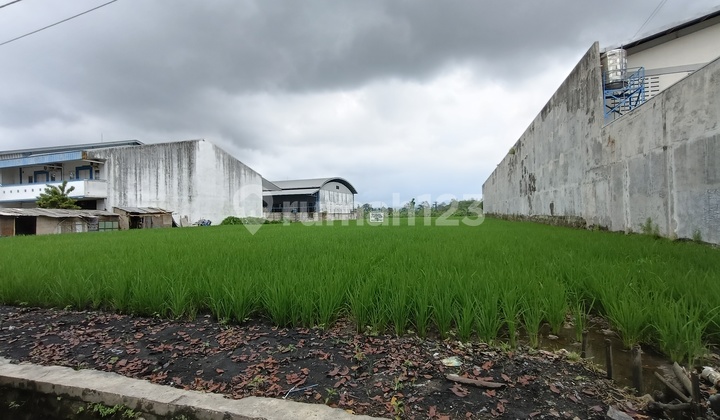 Tanah Pakisaji Strategis Dekat Pusat Kota Malang Tanah Pakisaji Strategis Dekat Pusat Kota Malang