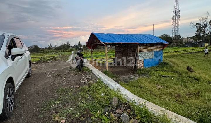 Tanah Batu Metro Dekat Dengan Amongtani View Menarik Tanah Batu Metro Dekat Dengan Amongtani View Menarik