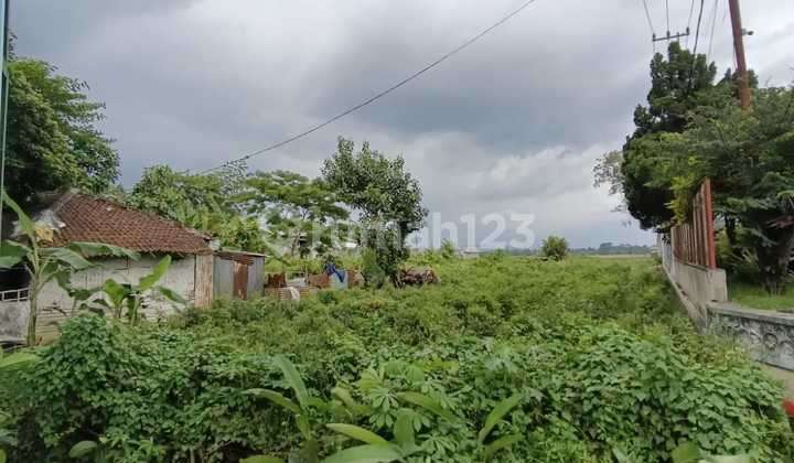 Tanah Pakisaji Poros Jalan Provinsi Berada Di Kawasan Industri