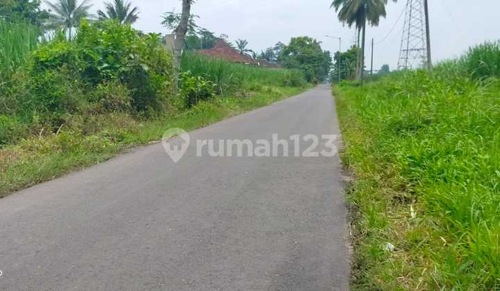 Affordable Bululawang Land on Asphalt Road Axis Near P G Krebet Affordable Bululawang Land on Asphalt Road Axis Near P G Krebet